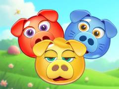                                                                       Bubble Piggies ﻞﯿﮭﮐ
