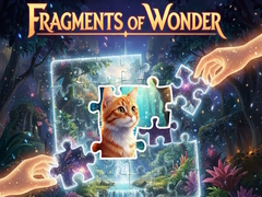                                                                       Fragments of Wonder ﻞﯿﮭﮐ