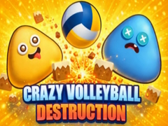                                                                       Crazy Volleyball Destruction ﻞﯿﮭﮐ