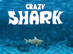                                                                       Crazy Shark ﻞﯿﮭﮐ