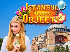                                                                       Istanbul Hidden Objects ﻞﯿﮭﮐ