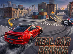                                                                       Real Car Driving ﻞﯿﮭﮐ