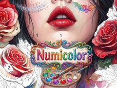                                                                       Numicolor ﻞﯿﮭﮐ