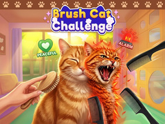                                                                       Brush Cat Challenge  ﻞﯿﮭﮐ