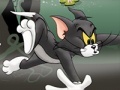                                                                       Tom And Jerry Chase In Marsh ﻞﯿﮭﮐ