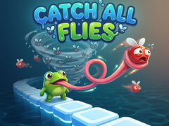                                                                       Catch All Flies ﻞﯿﮭﮐ