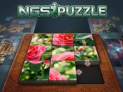                                                                       NGS Puzzle ﻞﯿﮭﮐ