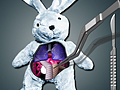                                                                      Save The Bunny ﻞﯿﮭﮐ