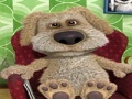                                                                       Talking Ben the Dog ﻞﯿﮭﮐ