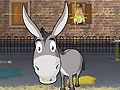                                                                       Donkey Gafoor ﻞﯿﮭﮐ