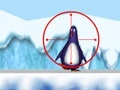                                                                       Shooting at the Zoo penguin ﻞﯿﮭﮐ