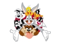 Looney ﺰﻤﯿﮔ ﮞﻭﺭﺎﺷﺍ 