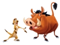 Timon ﺭﻭﺍ Pumbaa ﺰﻤﯿﮔ 