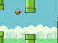 Flappy ﺰﻤﯿﮔ ﮈﺮﺑ 