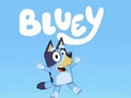 Bluey ﻦﺋﻻ﻿ ﻥﺁ ﺰﻤﯿﮔ 