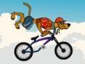 Bmx ﻞﯿﮭﮐ 