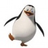 Penguins ﮯﮐ ﻞﯿﮭﮐ ﺮﮑﺳﺎﻏﮉﻣ 